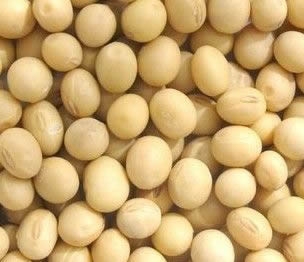 男性养生：最&ldquo;养&rdquo;男人的10种日常食物