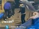 男子海洋馆内抽烟被白鲸喷水系摆拍